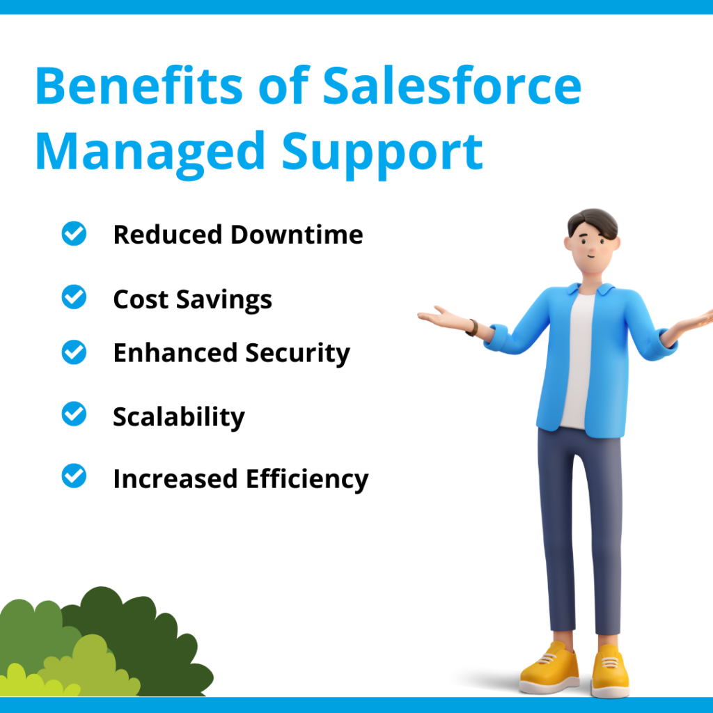 Salesforce Managed Support Benefits  