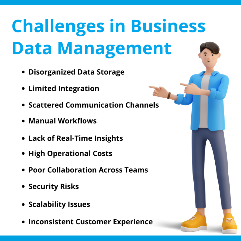 challenges in Business Data Management